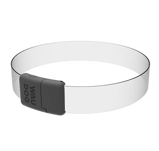 WAUDOG LED Collar - size and colour options