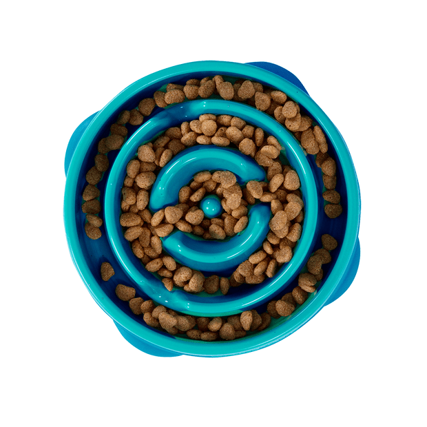 Outward Hound Fun Feeder Slo Bowl Regular teal with food