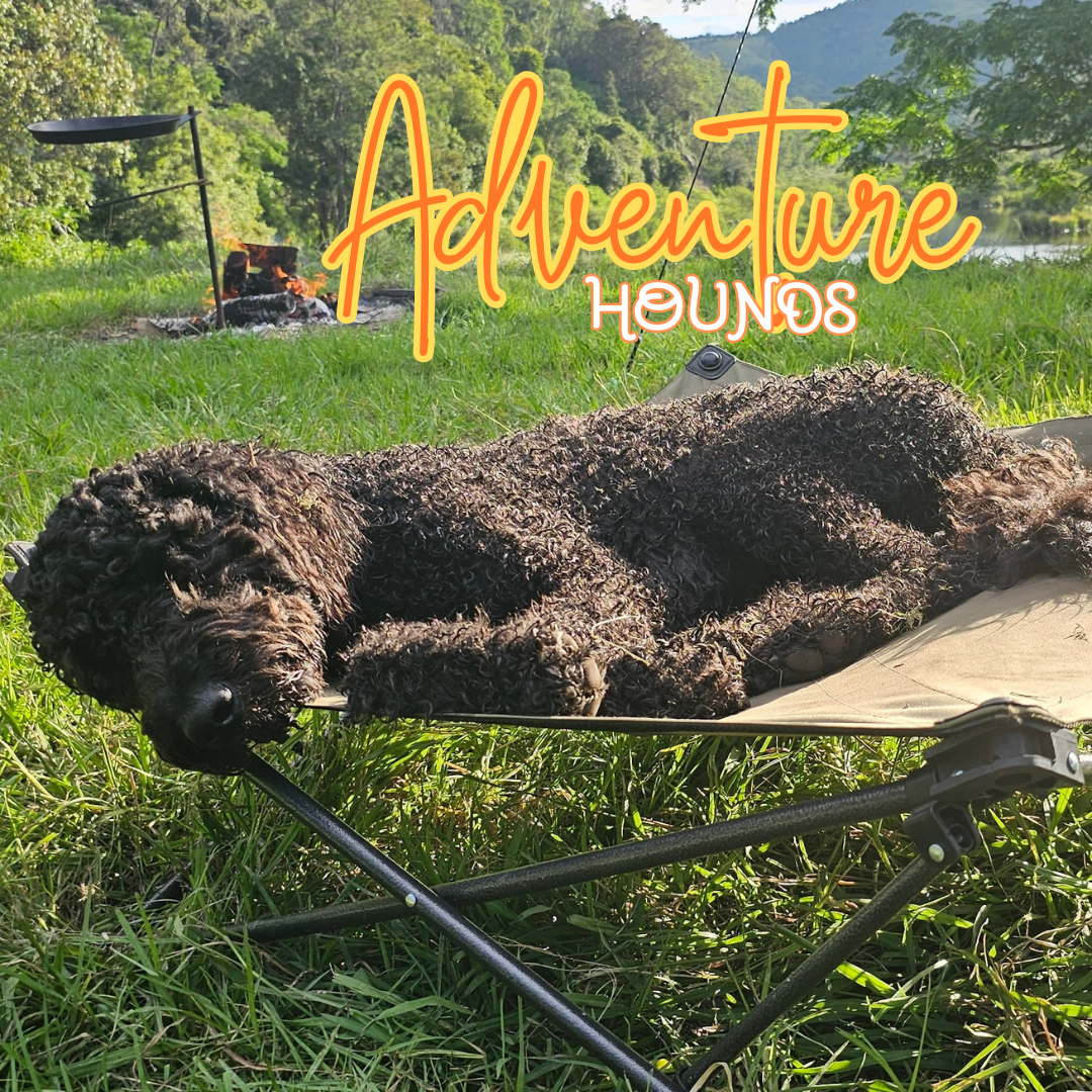 Adventure Hounds