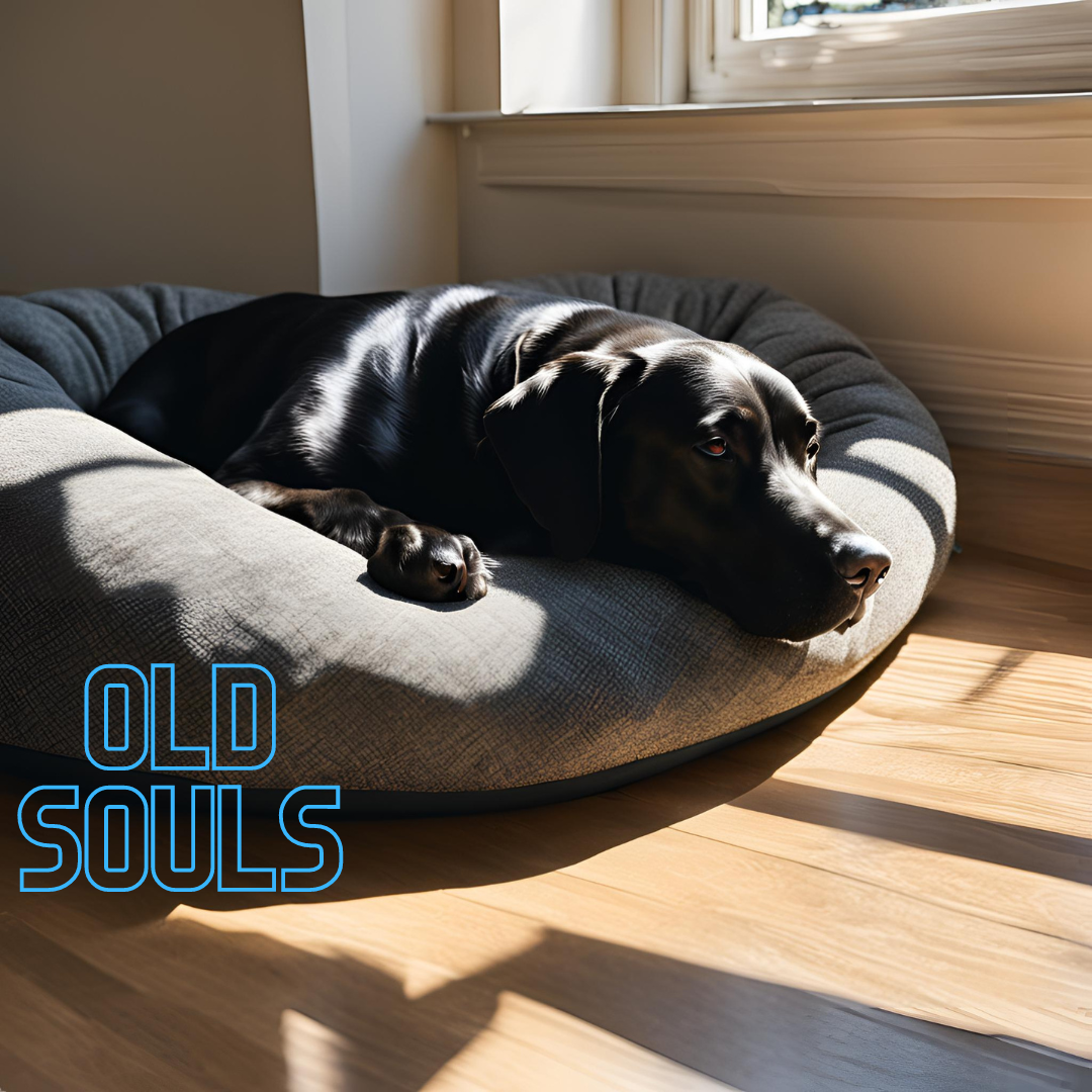 Old Souls