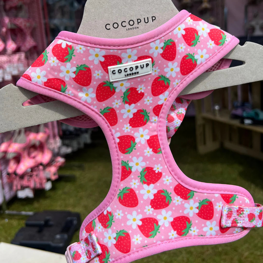 Cocopup London Pupberry Fields Harness on dog
