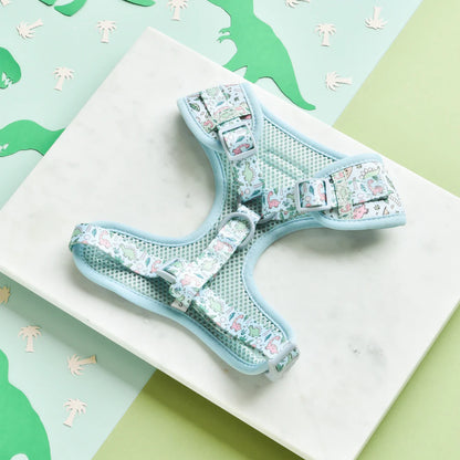 Cocopup London DinoPaws Harness on dog