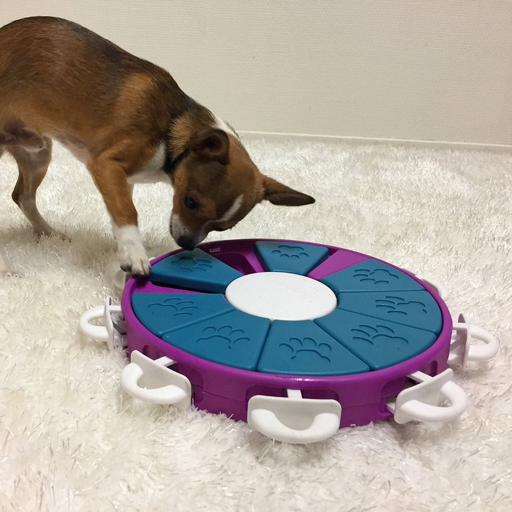 Outward Hound – Nina Ottosson – Dog Twister Puzzle (L3)