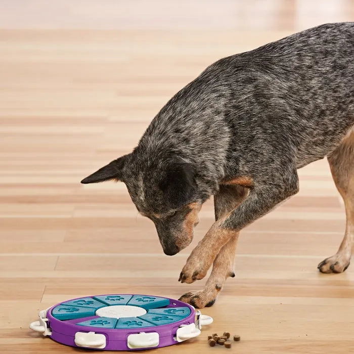 Outward Hound – Nina Ottosson – Dog Twister Puzzle (L3)