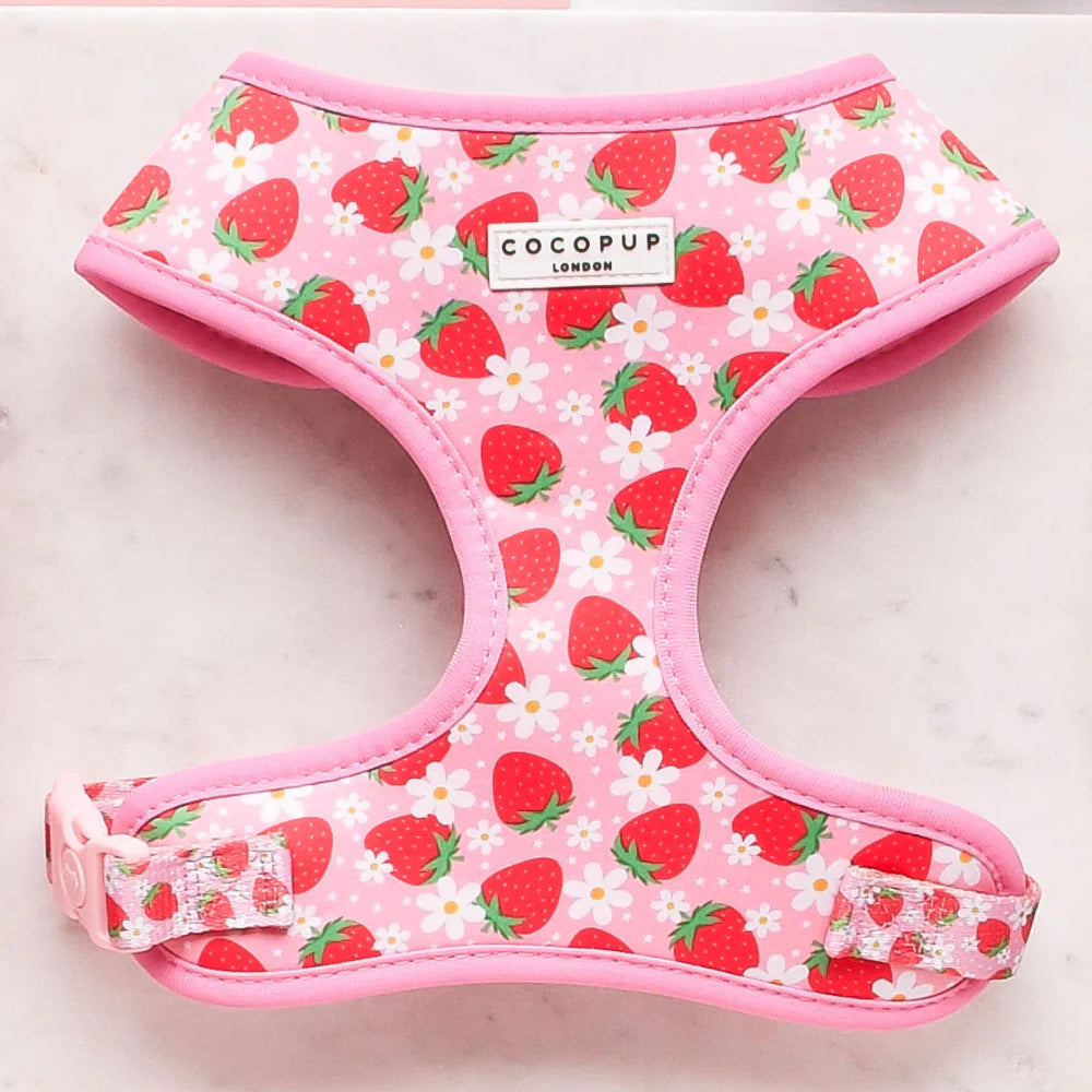 Cocopup London Adjustable Neck Harness Pupberry Fields hero shot