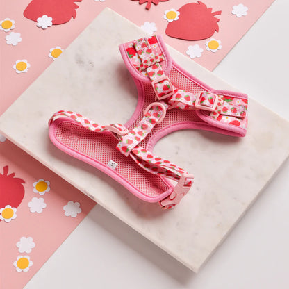 Cocopup London Pupberry Fields Harness lifestyle