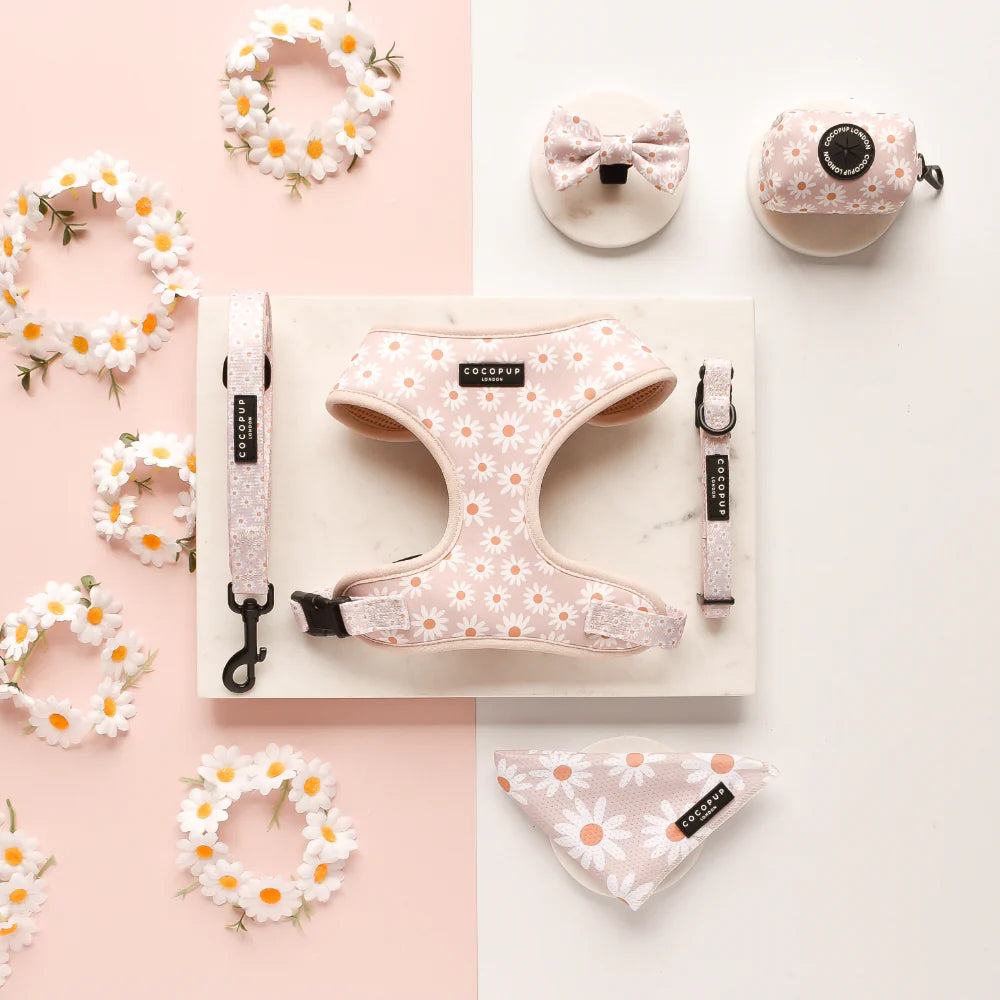 Cocopup London Daisy Chain Harness detail