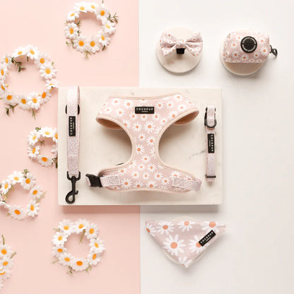 Cocopup London Daisy Chain Harness detail