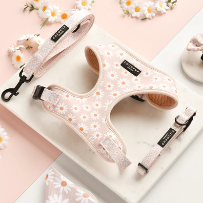 Cocopup London Daisy Chain Harness lifestyle