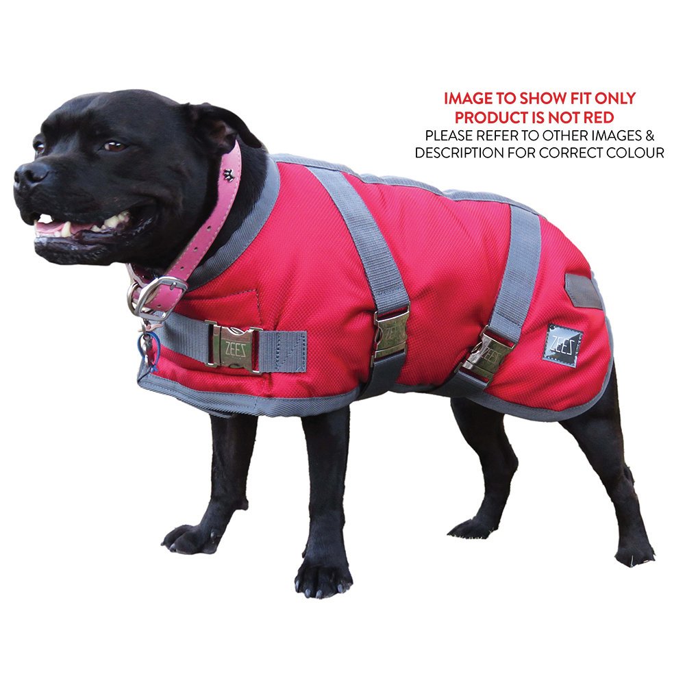 Zeez Dapper Dog Coat - Spreme Oil Skin Black