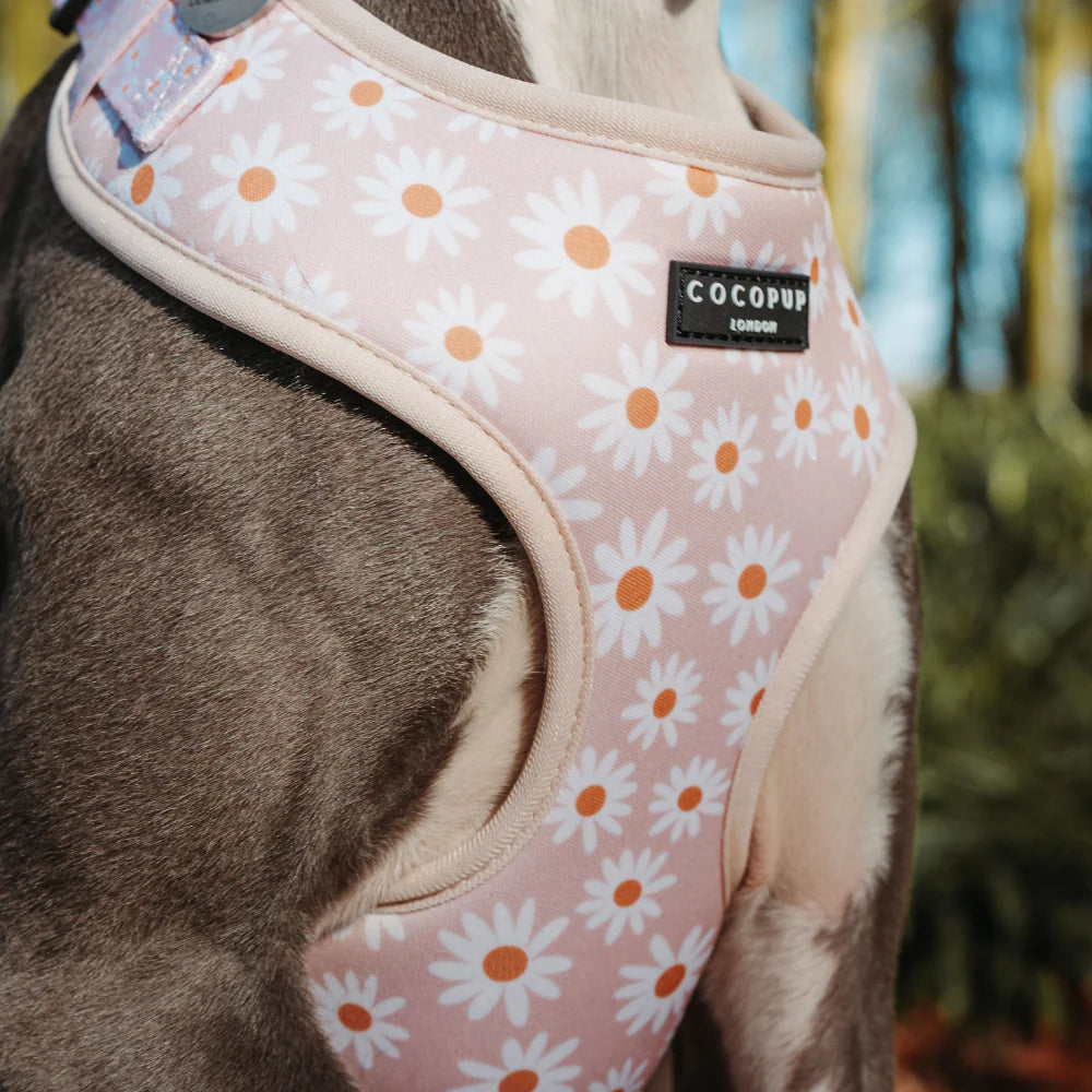 Cocopup London Daisy Chain Harness flat lay