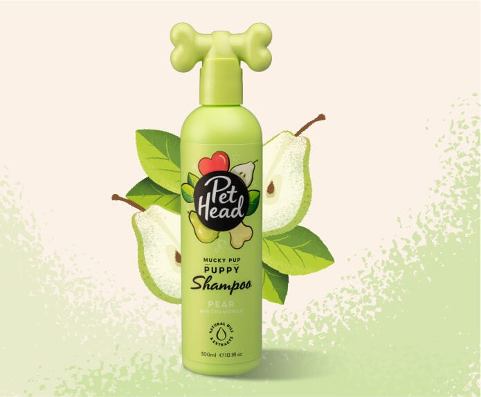 Pet Head Mucky Pup Puppy Shampoo 300ml – product bottle