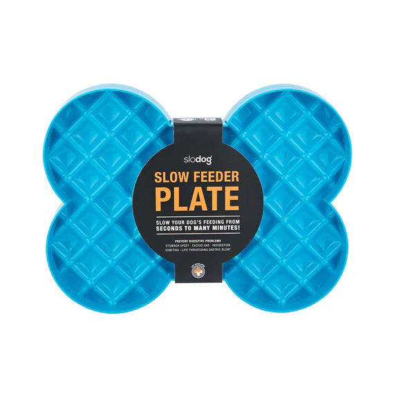 LickiMat SloDog Slow Feeder Plate Turquoise