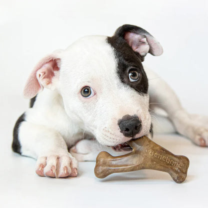Benebone Bacon Puppy Wishbone – packaging front