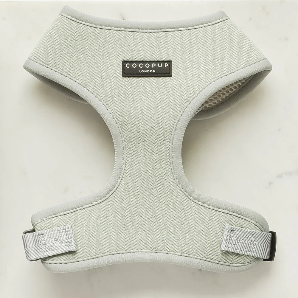 Cocopup London Adjustable Neck Harness in Sage Tweed - lifestyle hero shot