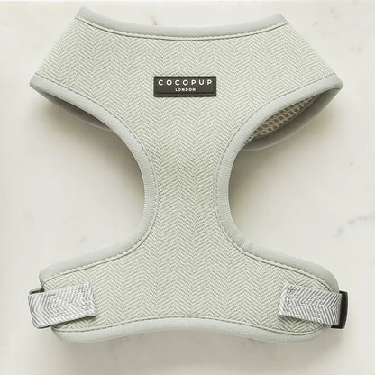 Cocopup London Adjustable Neck Harness in Sage Tweed - lifestyle hero shot