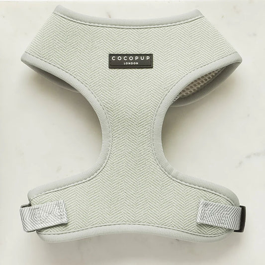 Cocopup London Adjustable Neck Harness in Sage Tweed - lifestyle hero shot