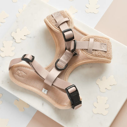 Cocopup London Adjustable Neck Harness Teddy Rupert – close-up
