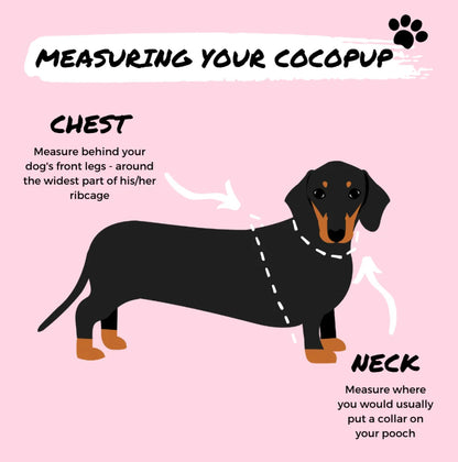Cocopup London Adjustable Neck Harness Teddy Rupert – buckle detail