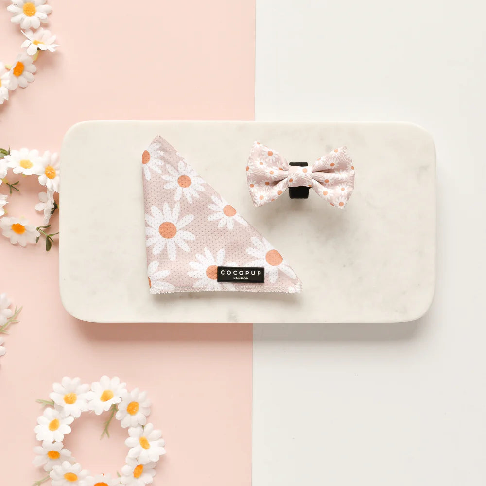 Cocopup London Bow Tie Daisy Chain – detail view