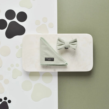 Cocopup London Bow Tie Sage Tweed – lifestyle on dog