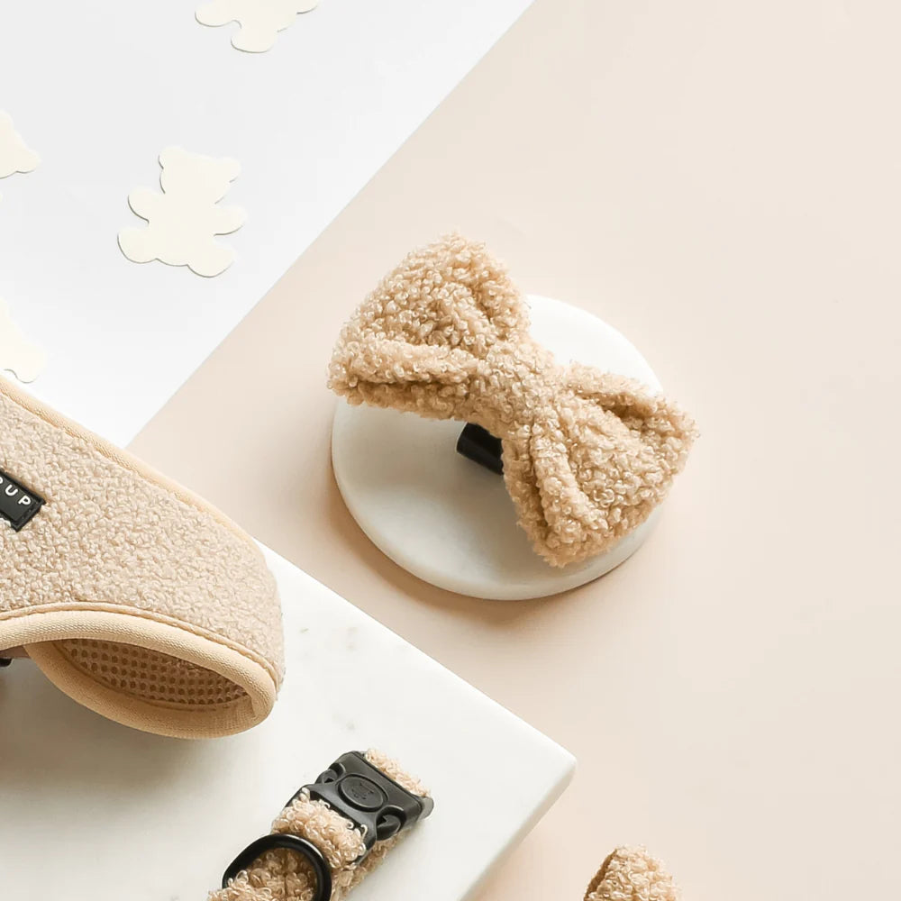 Cocopup London Bow Tie Teddy Rupert – lifestyle on dog