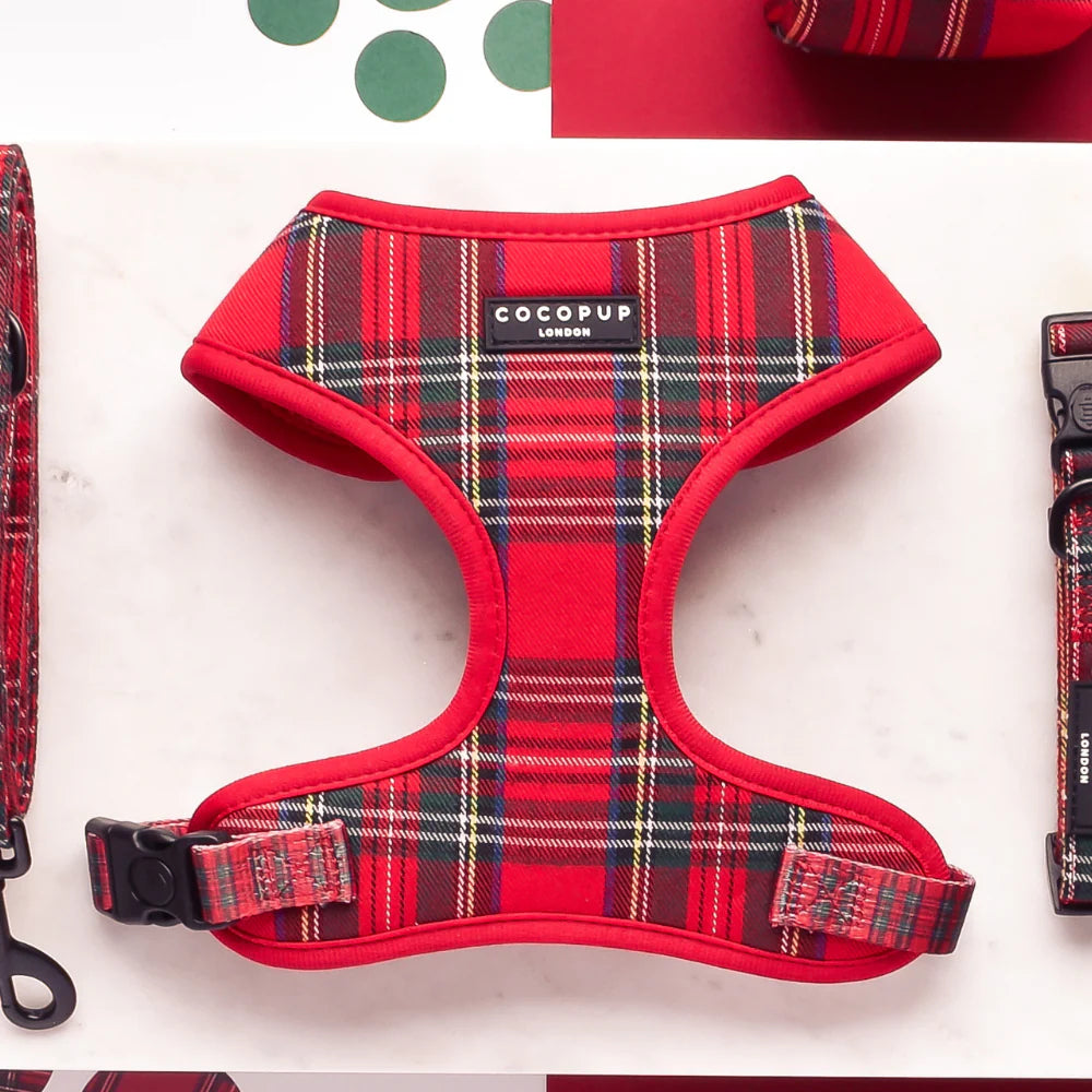 Cocopup London Red and Black Tartan Neck Harness - hero shot