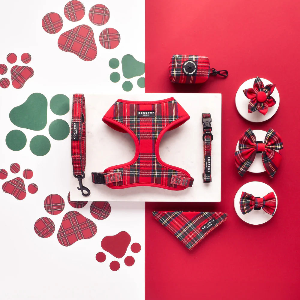 Cocopup London Tartan harness lifestyle view