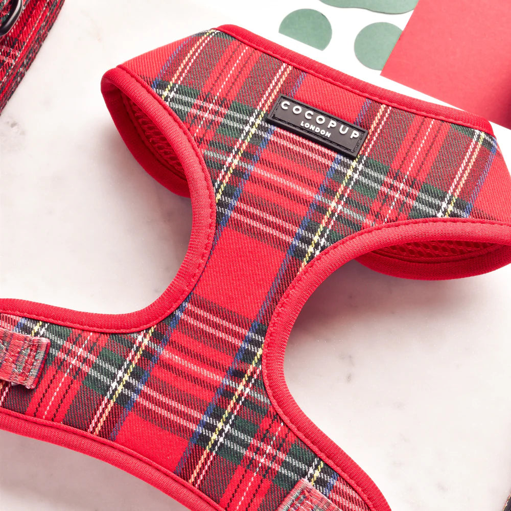 Cocopup London Tartan harness on dog