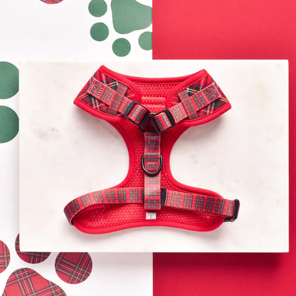 Cocopup London Tartan harness close-up pattern detail