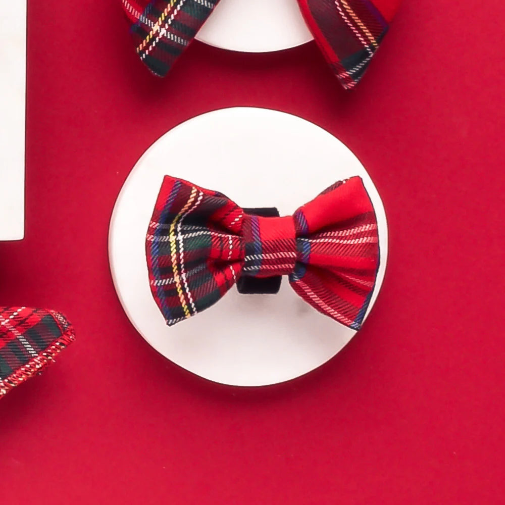 Cocopup London Bow Tie Tartan – lifestyle on dog