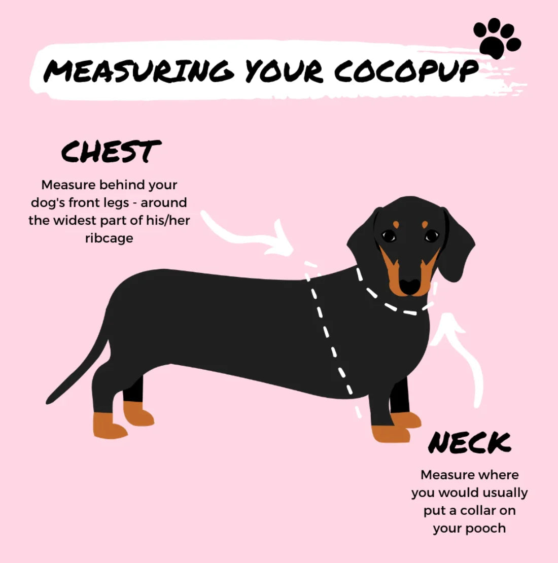 Cocopup London Harness sizing guide