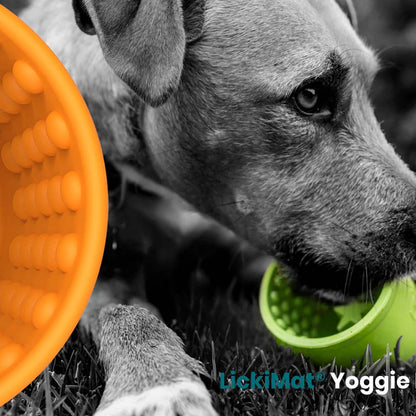 LickiMat Yoggie Pot catalogue shot
