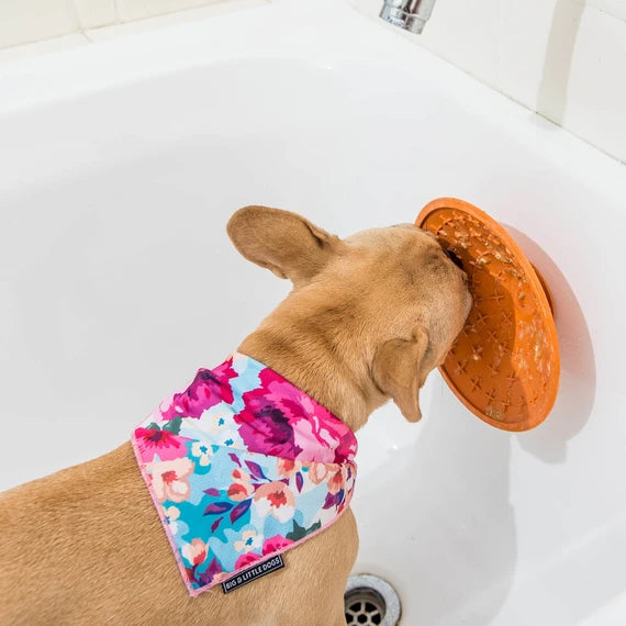 LickiMat Splash Orange lifestyle