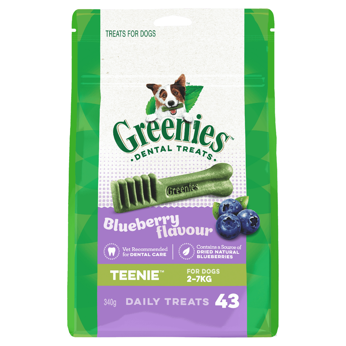 Greenies Dental Treats - Blueberry