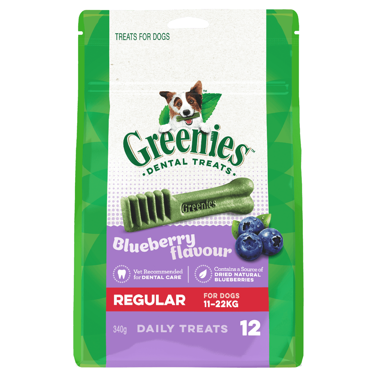 Greenies Dental Treats - Blueberry