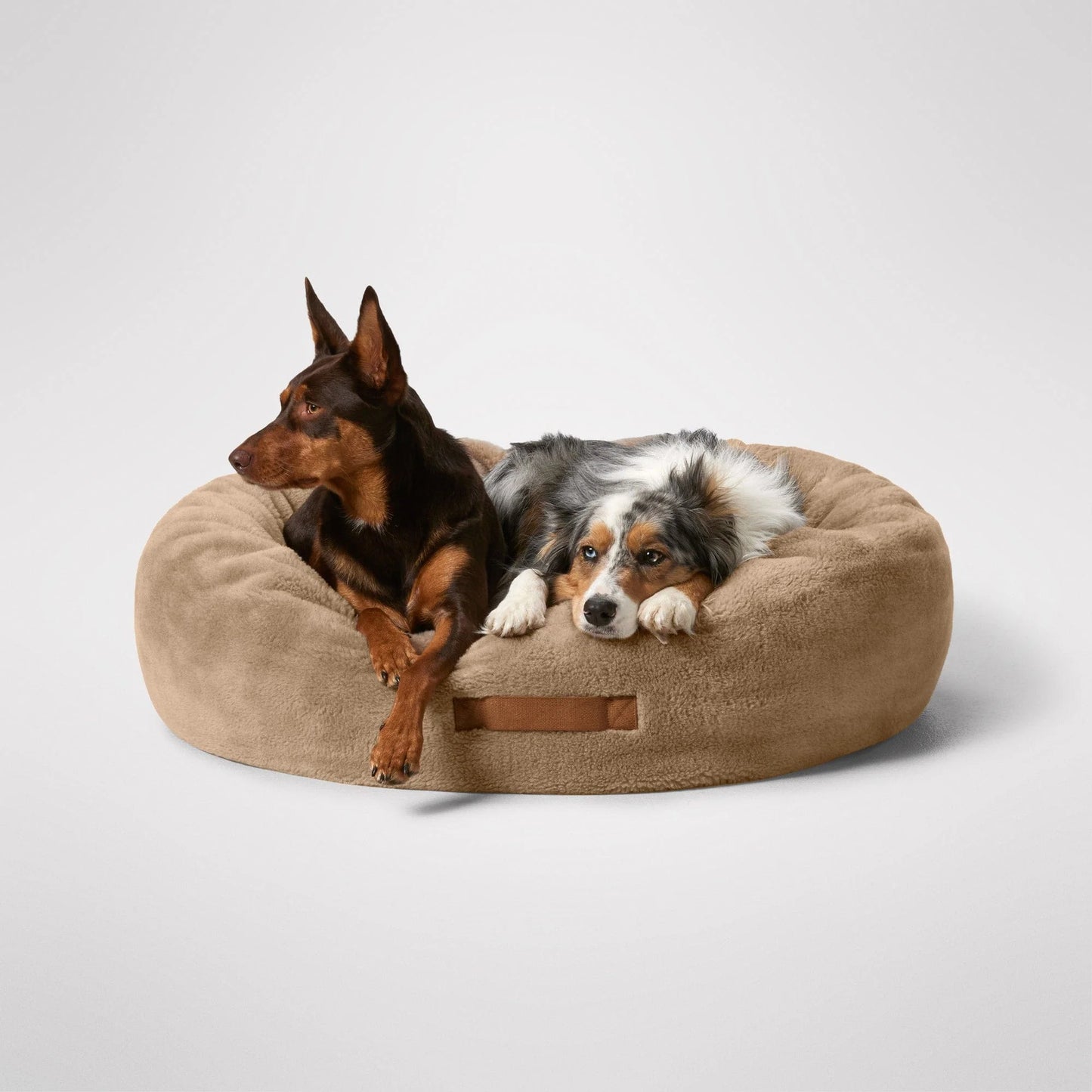 MiniJumbuk Sleep Calm Oasis Fawn XL – two dogs in bed