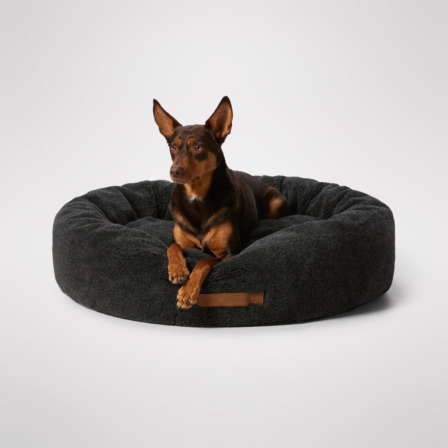 MiniJumbuk Sleep Calm Oasis dog bed in Storm Grey – dog sitting inside circular bed