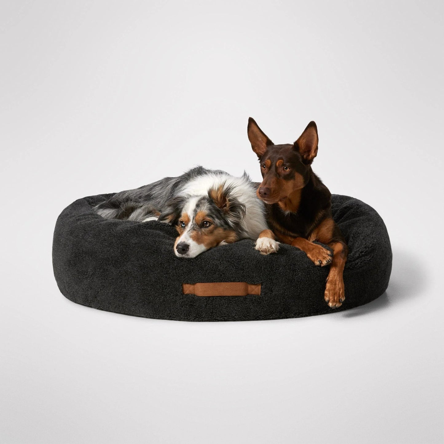 MiniJumbuk Sleep Calm Oasis XL – two dogs in bed