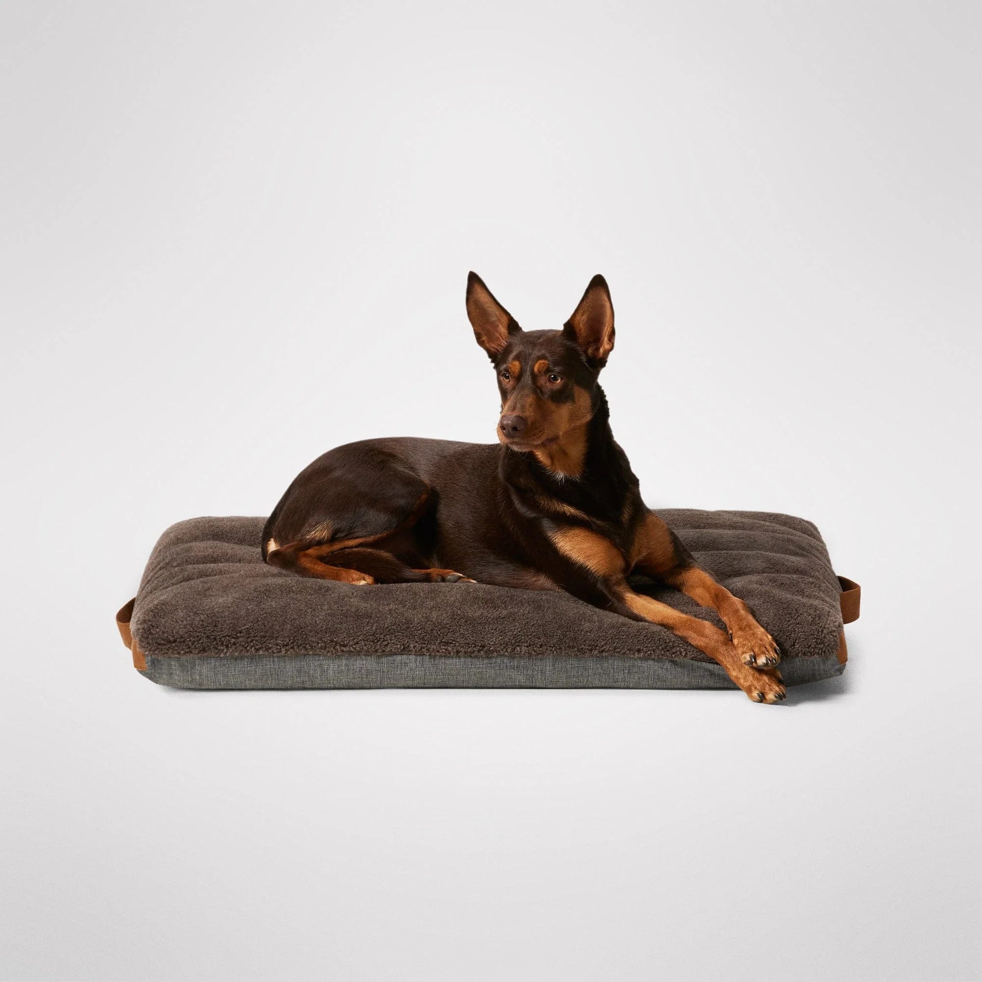 MiniJumbuk Jumbuk Swag Mocha Large - hero shot showing full mattress
