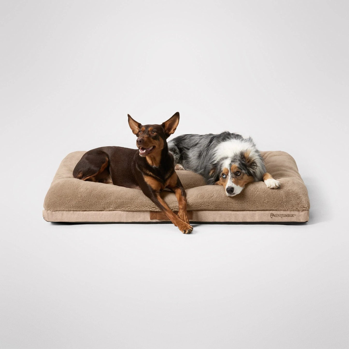 MiniJumbuk Ortho Sanctuary Fawn - two dogs relaxing on the Extra Large bed