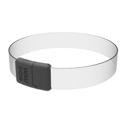 WAUDOG LED Collar - size and colour options