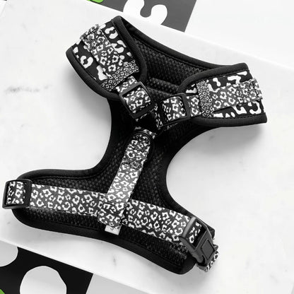 Cocopup London Black Leopard Harness on dog outdoors