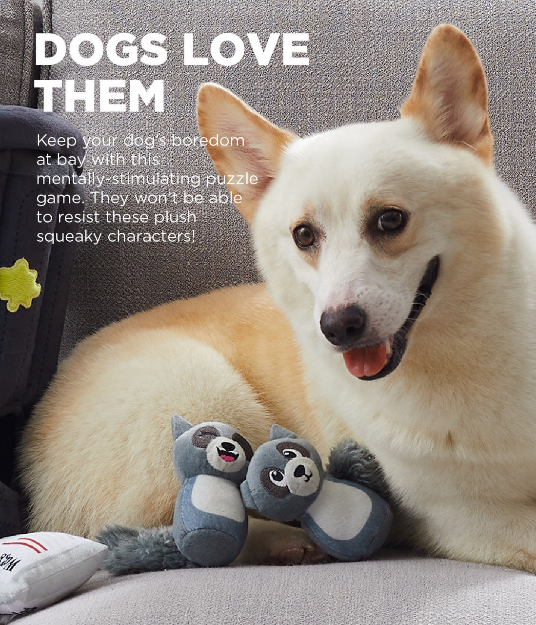 Outward Hound Hide-A-Raccoon – product detail
